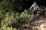 Mountain Bikes