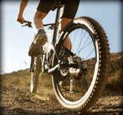 Bikes