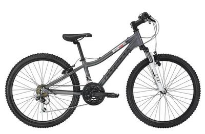 Ridgeback MX24 Boys Bike