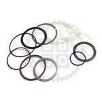 Chris King Seal and Snapring Kit for all rear hubs except R45/R45 Disc