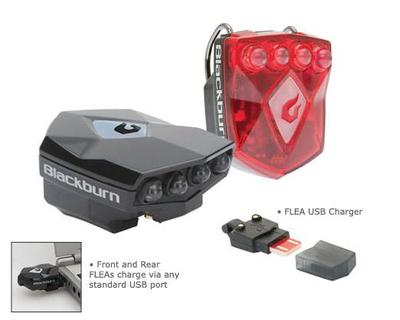 Blackburn Flea 2.0 USB Pair
