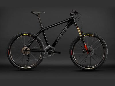 Santa Cruz Chameleon