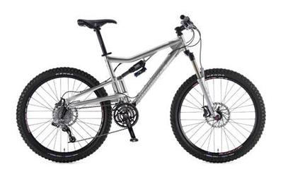 Santa Cruz Heckler
