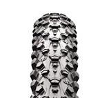 Maxxis Ignitor Exception 