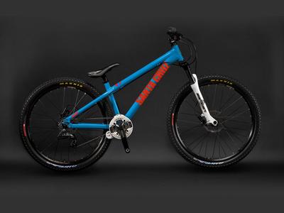 Santa Cruz Jackal