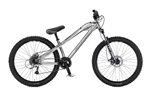 Santa Cruz Jackal