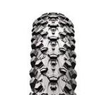 Maxxis Ignitor Exception 