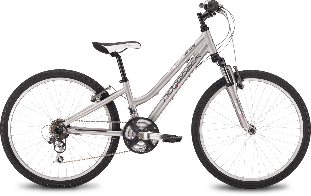 Ridgeback Destiny 24' ' Wheel Girls Bike
