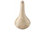 Brooks  Cambium